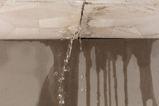 Professional Water Damage Repair technician working in Metaline Falls, WA